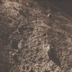 First image of the surface of the moon