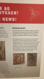 Breaking news about Pteroasurs
